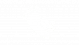 gallery/environmental footprint 2